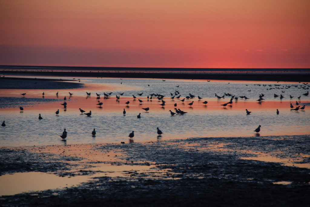 Le couché de soleil sur la mer de l'Occident, maison de location saisonnière en Baie de Somme.